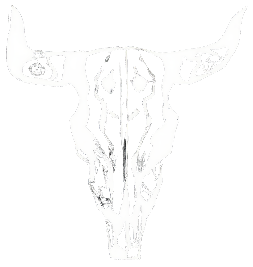 Cowtown Vegan skull logo